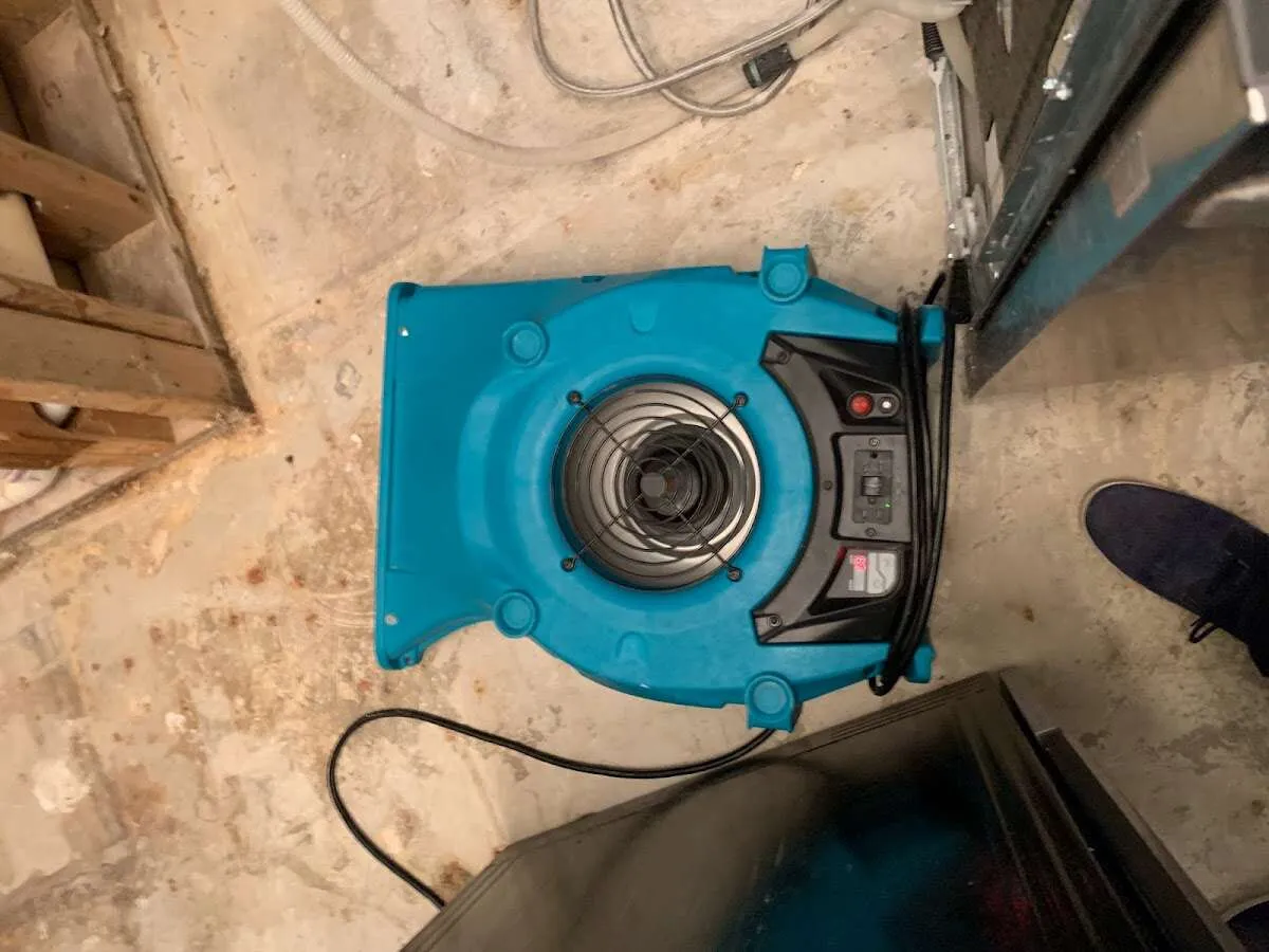 Air mover drying equipment for Mold Remediation & Removal in Lihue